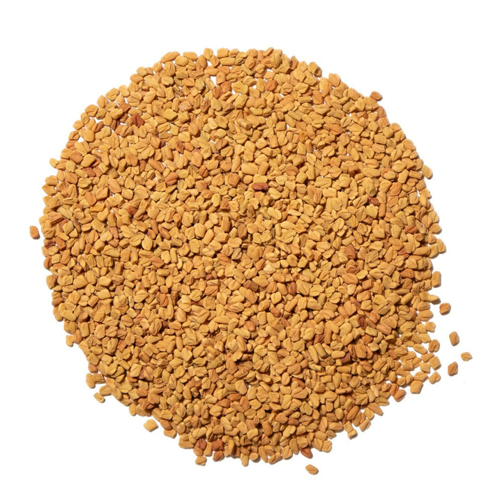 Organic Fenugreek Seed - Botanical Tea Bags
