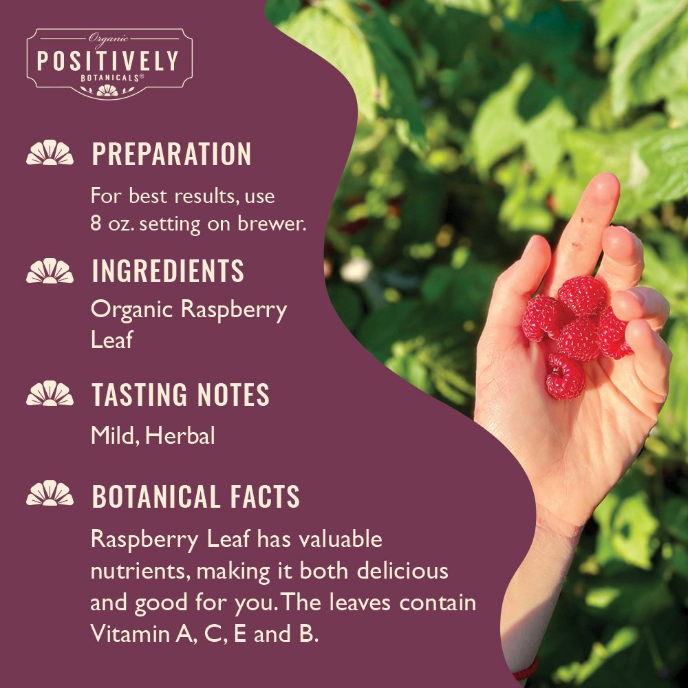 Raspberry Leaf - Botanical Tea Pods