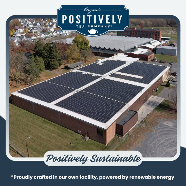 Positively Tea Company sustainable facility powered by renewable energy, crafting Irish Breakfast Organic Black Tea.