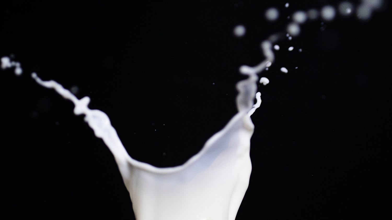 Milk splashing against a black background.