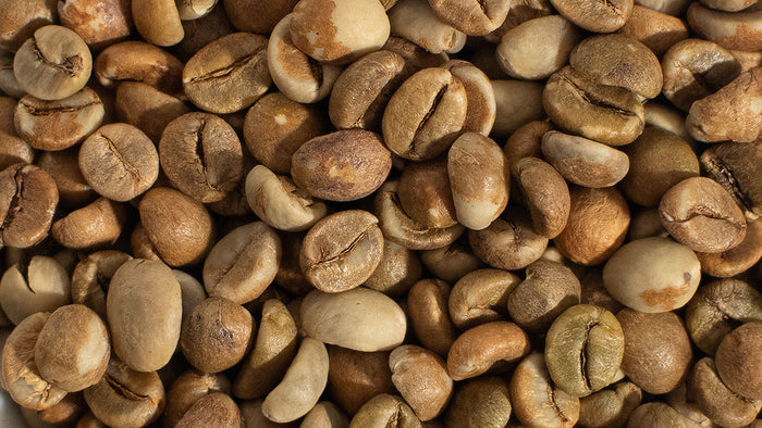 Detail photo of unroasted Ugandan Robusta.