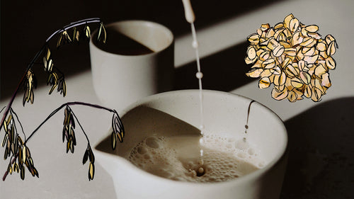 Image of oat milk being poured into a ceramic cup with oat illustrations on either side.