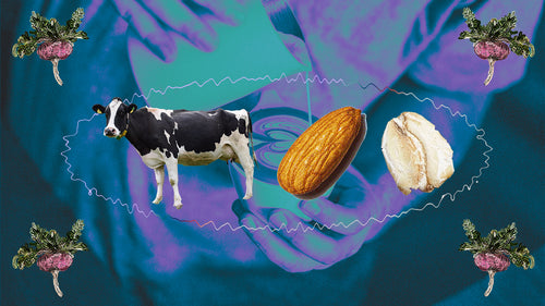 A collage of a cow, an almond, and an oat on an image of a barista pouring latte art, all bookended by illustrated maca.