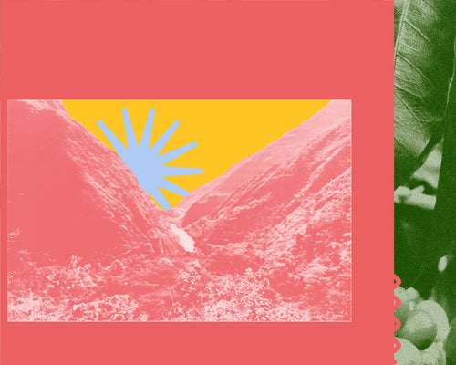 Collage of a half-tone valley on a red and yellow background, a blue star, and a green half-tone coffee plant.