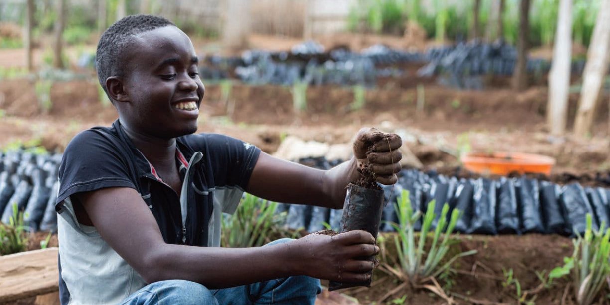 A Congolese farmer holding up an unplanted coffee plant.