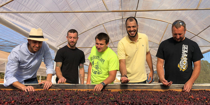 Our founder, Andrew Oakes, inspecting coffee cherries with some other farmers.