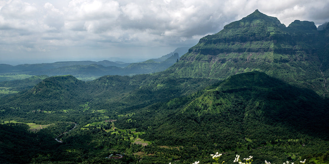 Landscape in India.