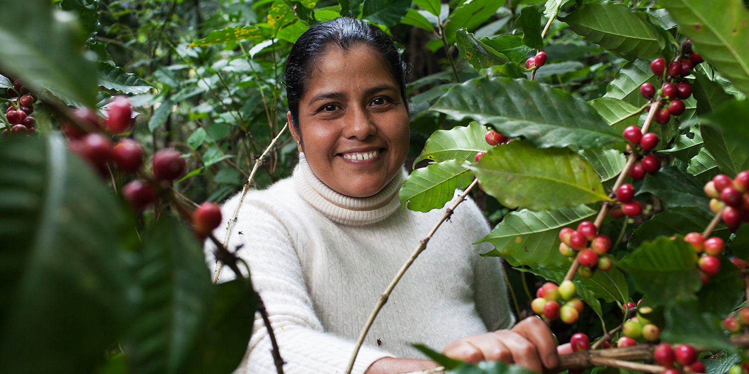 A coffee farmer poses with coffee plants in Mexico.