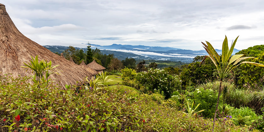 Image of Papua New Guinea's landscape.