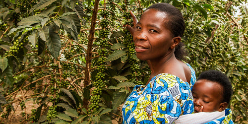 A Rwandan coffee farmer and her child in the fields.