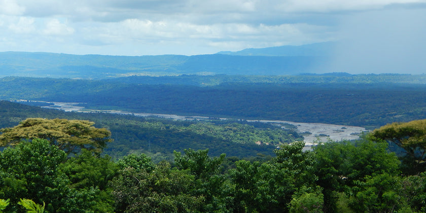 East Timor landscape.