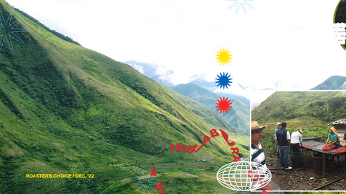 A rolling Ecuadorian hillside with illustrated stars and warped text.
