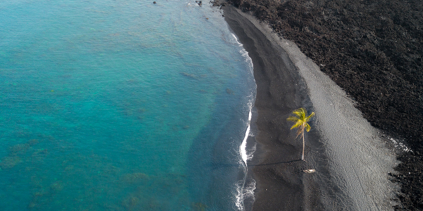 Introducing Direct Trade USDA Organic Hawaiian 100% Kona Coffee