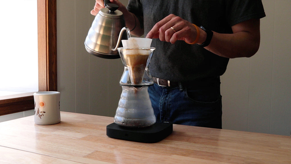 Chemex Funnex Fresh Roasted Coffee