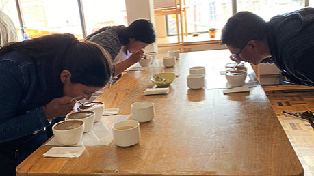 Three coffee professionals cup tasting in Bolivia.