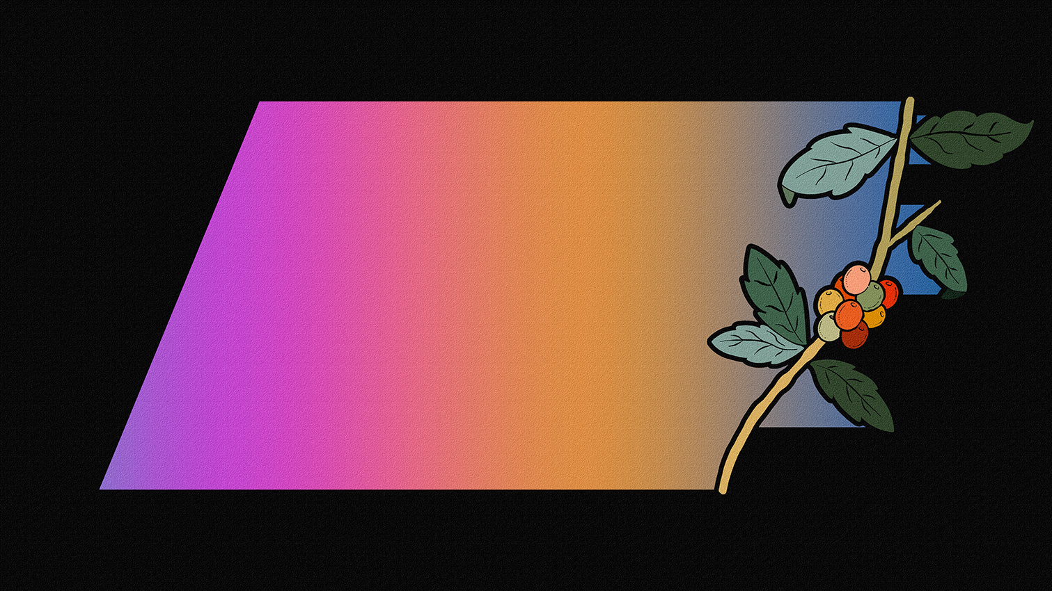 An illustrated coffee plant with a colorful gradient tail.