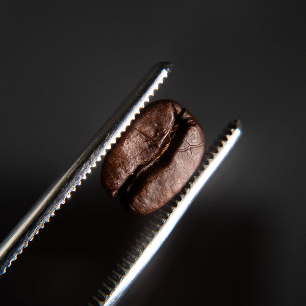 Bagged Coffee