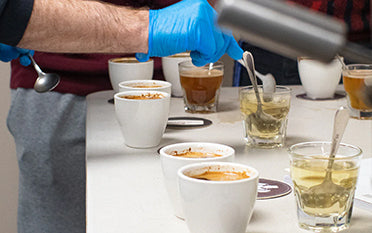Person cupping different types of coffee.