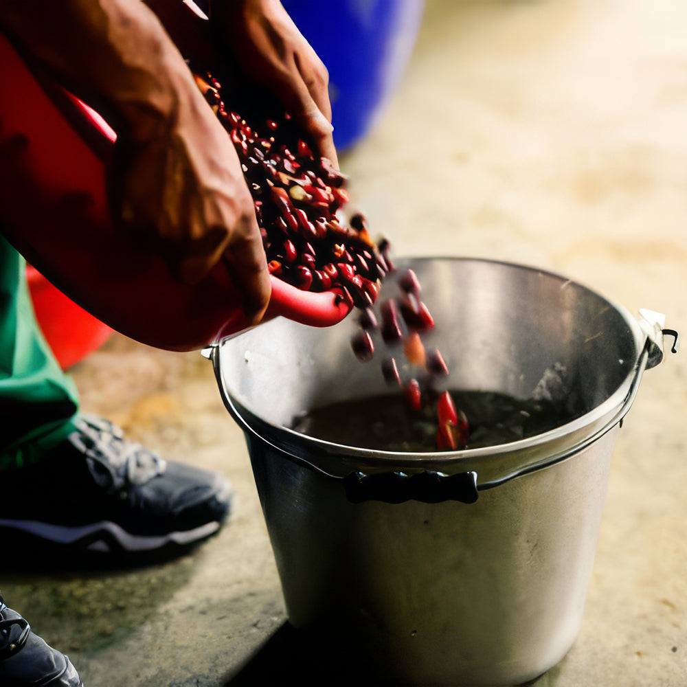 Roaster's Choice Coffee Subscription