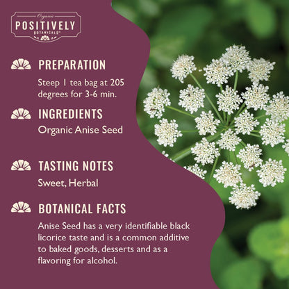 Organic Anise Seed - Botanical Tea Bags