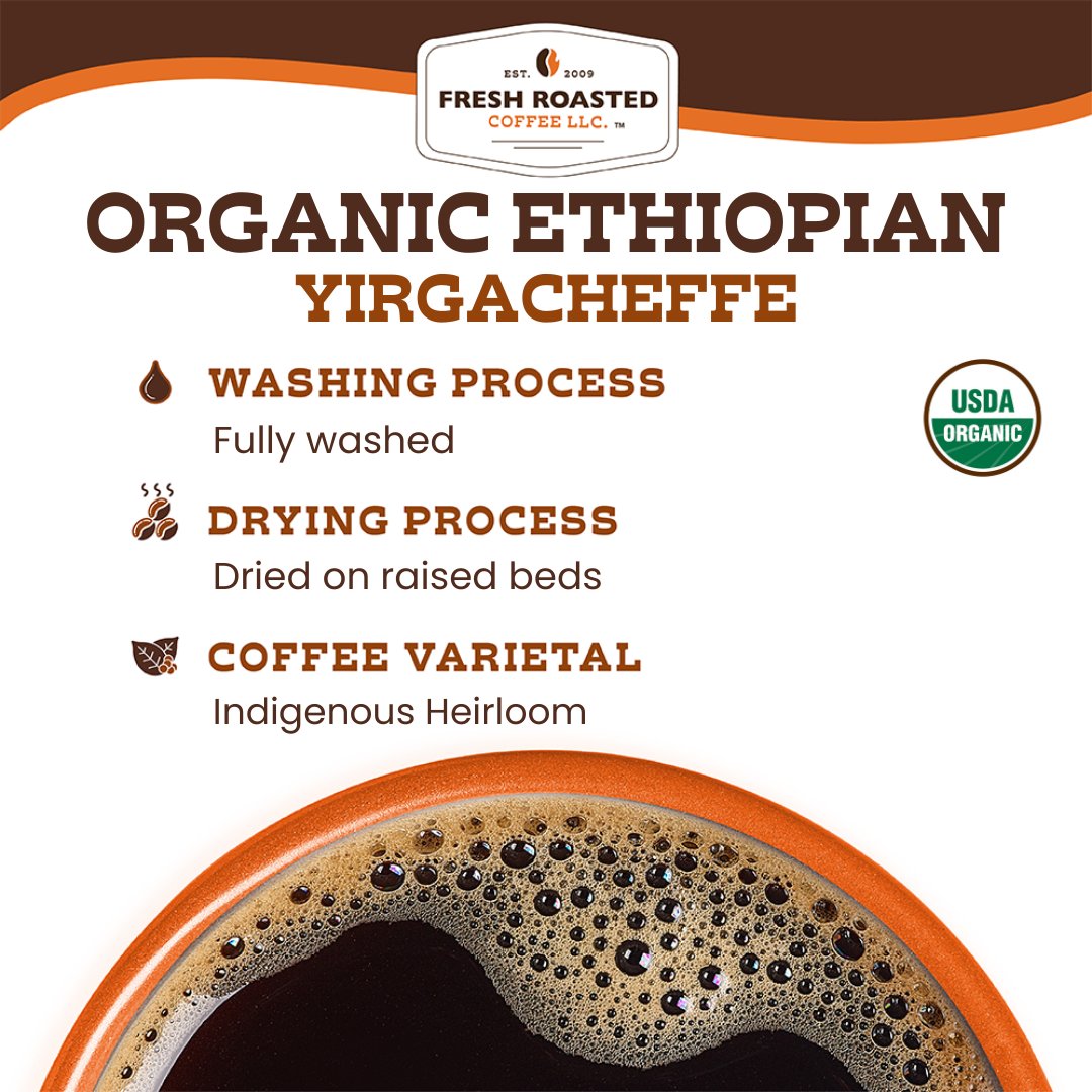 Organic Ethiopian Yirgacheffe - Classic Coffee Pods – Fresh