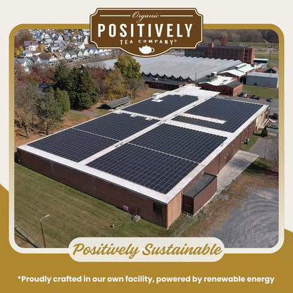 Organic Ti Kuan Yin Oolong - Loose Leaf Tea