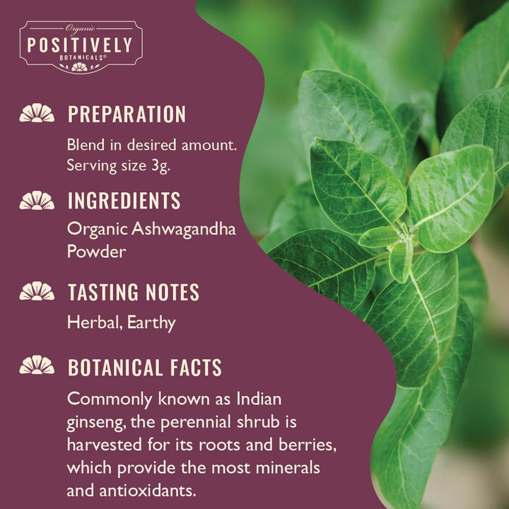 Ashwagandha - Botanical Tea Bags