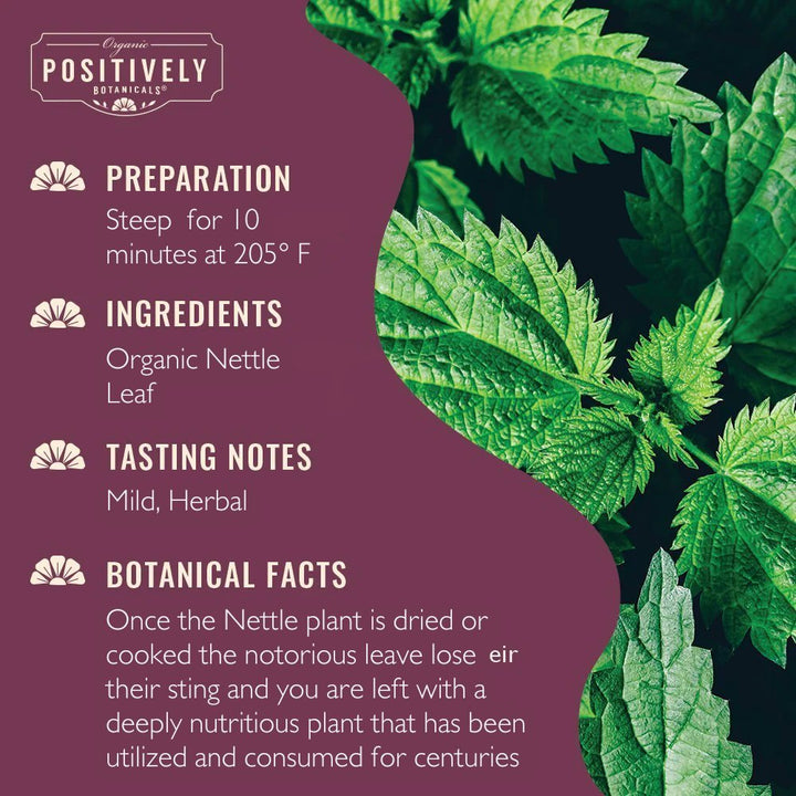 Organic Nettle Leaf - Loose Leaf Botanical