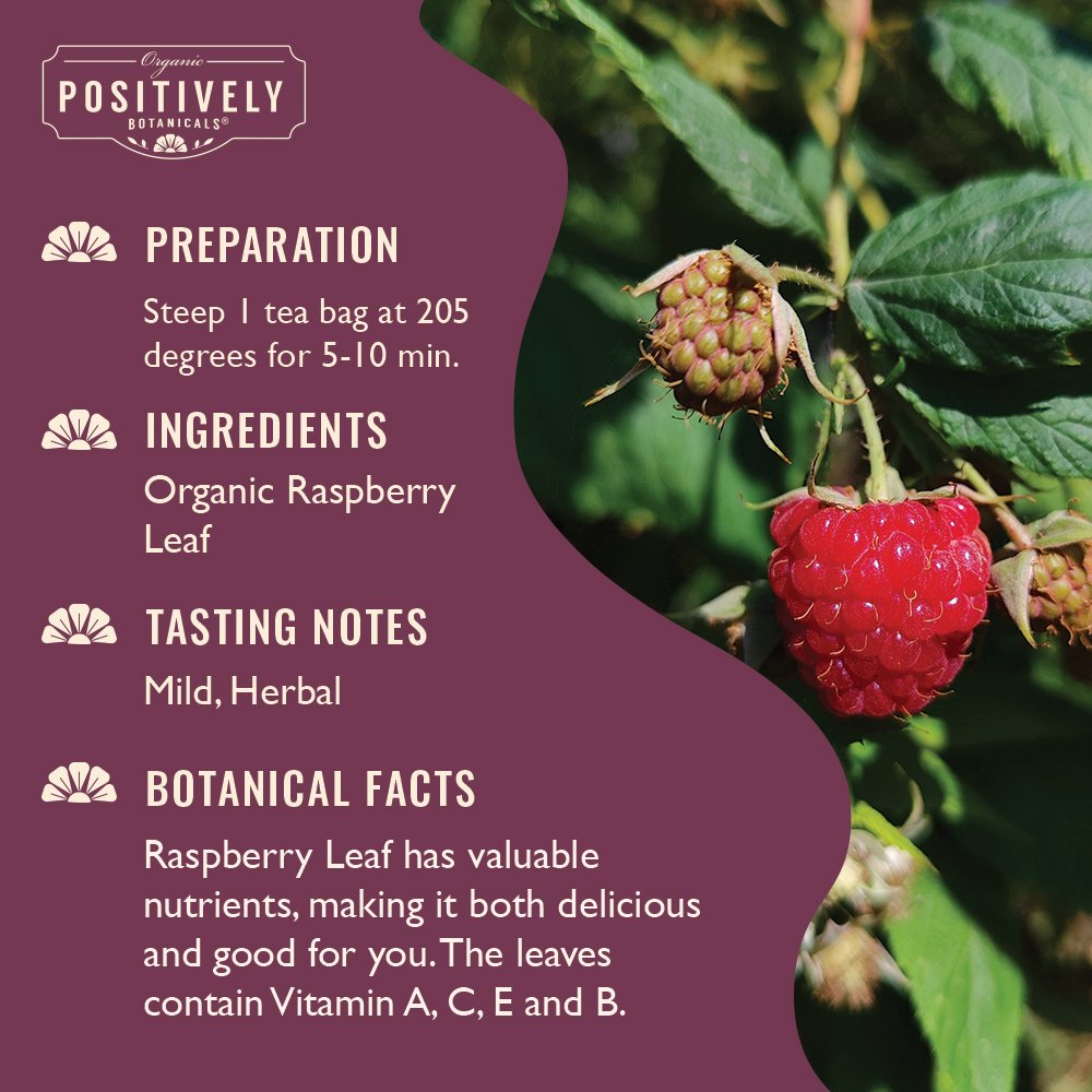 Raspberry Leaf - Botanical Tea Bags