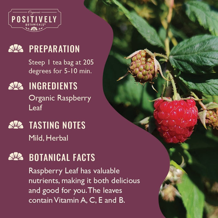 Raspberry Leaf - Botanical Tea Bags