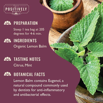 Organic Lemon Balm - Botanical Tea Bags