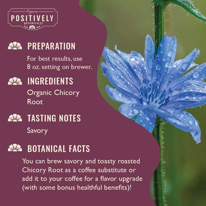 Organic Chicory Root - Botanical Tea Pods