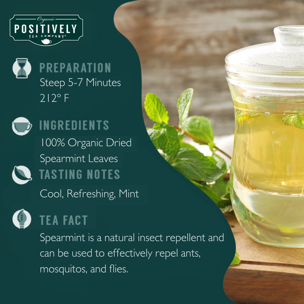 Spearmint Leaf Herbal - Loose Leaf Tisane