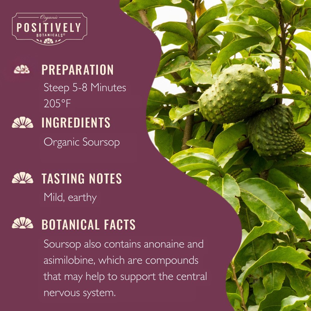 Organic Soursop - Loose Leaf Botanical