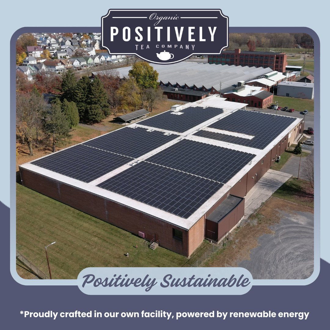 Organic White Peony - Loose Leaf Tea