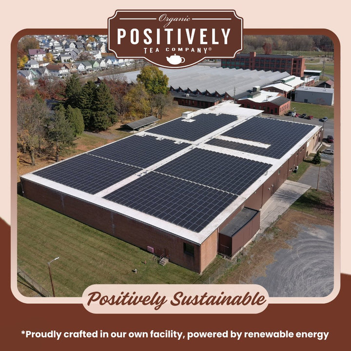 Pu-Erh - Loose Leaf Tea