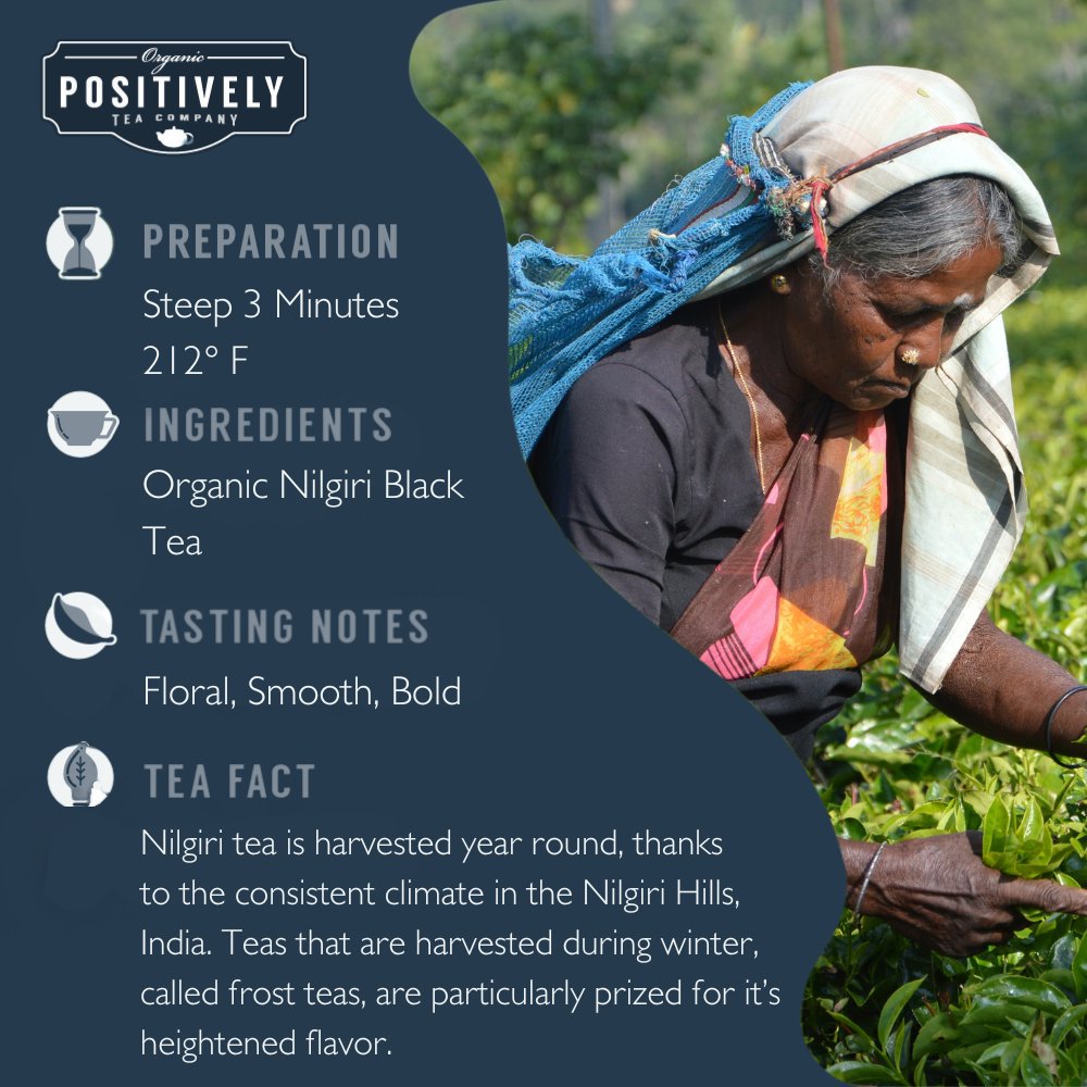 Organic Nilgiri FBOP - Loose Leaf Tea