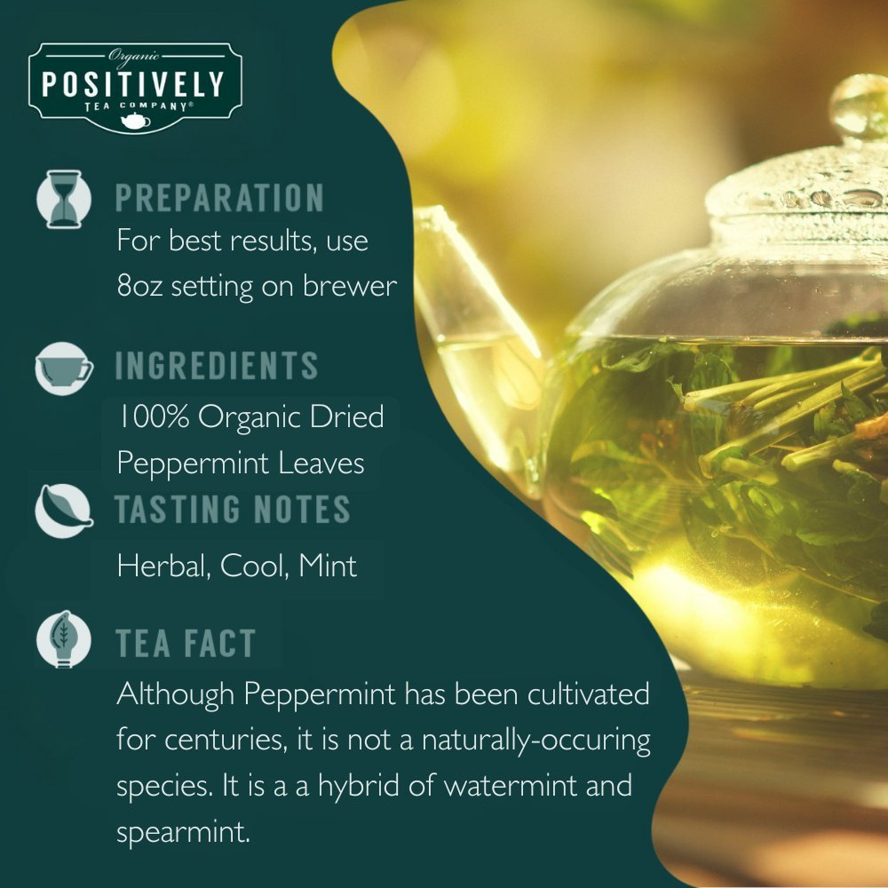 Organic Peppermint Leaf Herbal - Classic Tea Pods