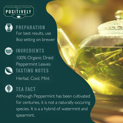 Organic Peppermint Leaf Herbal - Classic Tea Pods