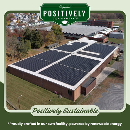 Organic Strawberries and Cream - Tea Bags