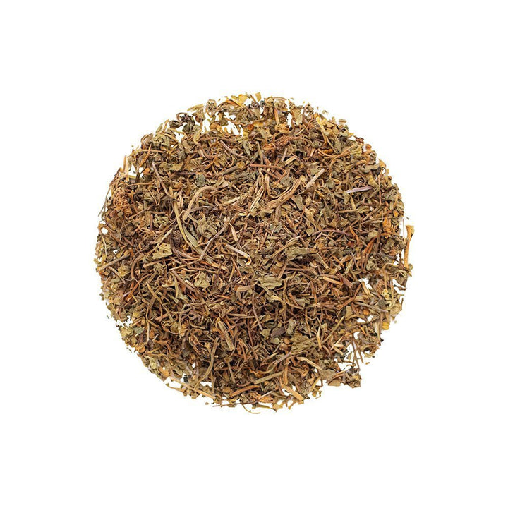 Organic Gotu Kola - Loose Leaf Botanical