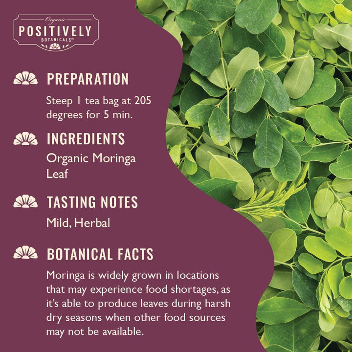 Moringa Leaf - Botanical Tea Bags