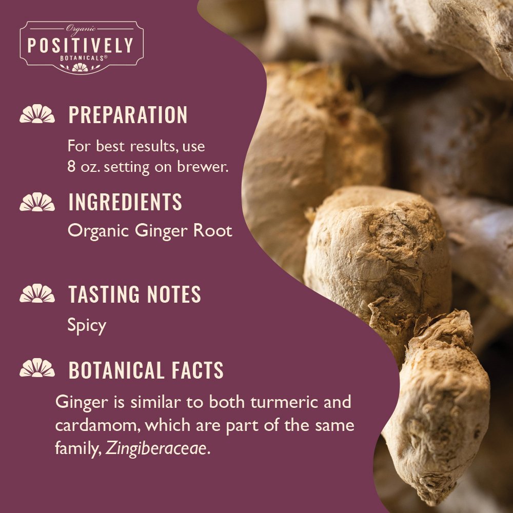 Ginger Root - Botanical Tea Pods