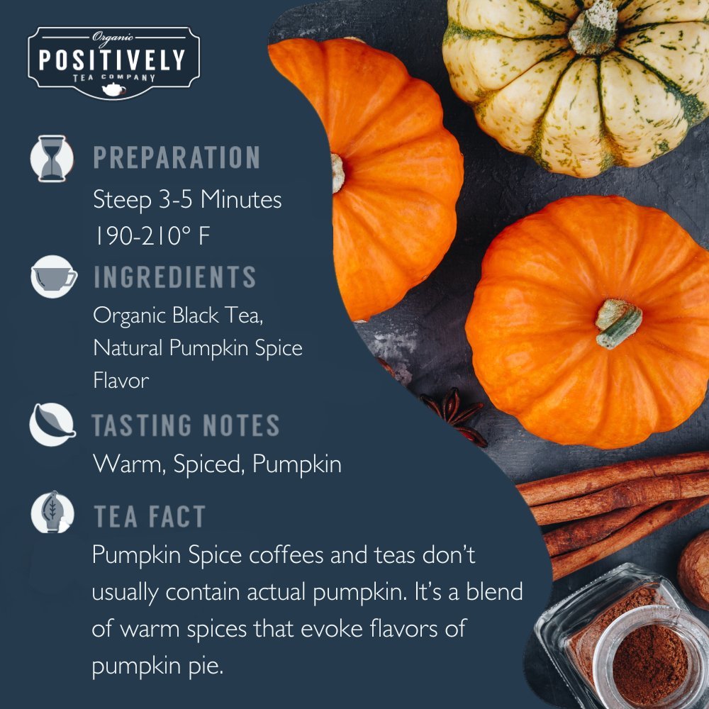 Organic Pumpkin Spice - Tea Bags