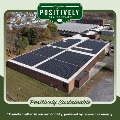 Organic Green Tangerine - Tea Bags