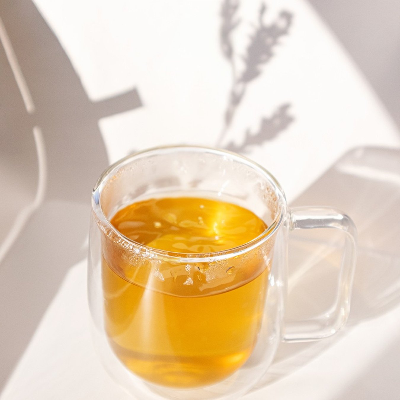 Organic Spearmint Leaf Herbal - Loose Leaf Tisane