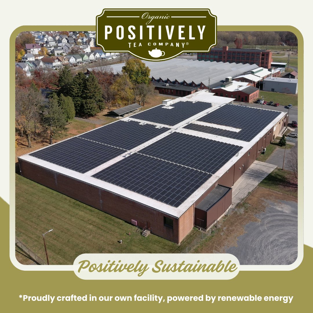 Yerba Mate (Unsmoked) - Loose Leaf Tea