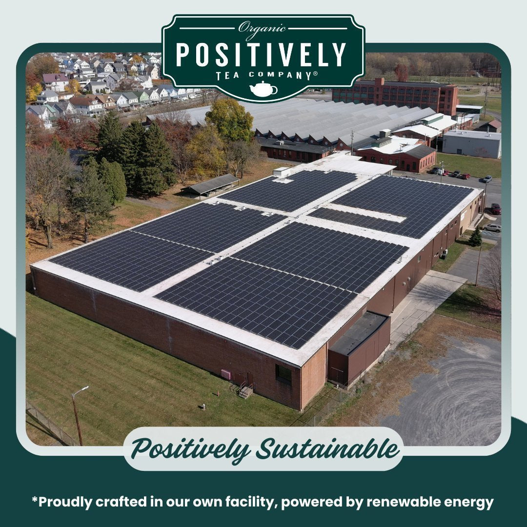 Organic Stevia Leaf Herbal - Loose Leaf Tisane