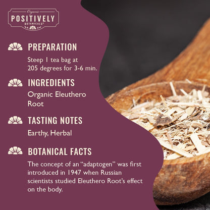 Organic Eleuthero Root - Botanical Tea Bags