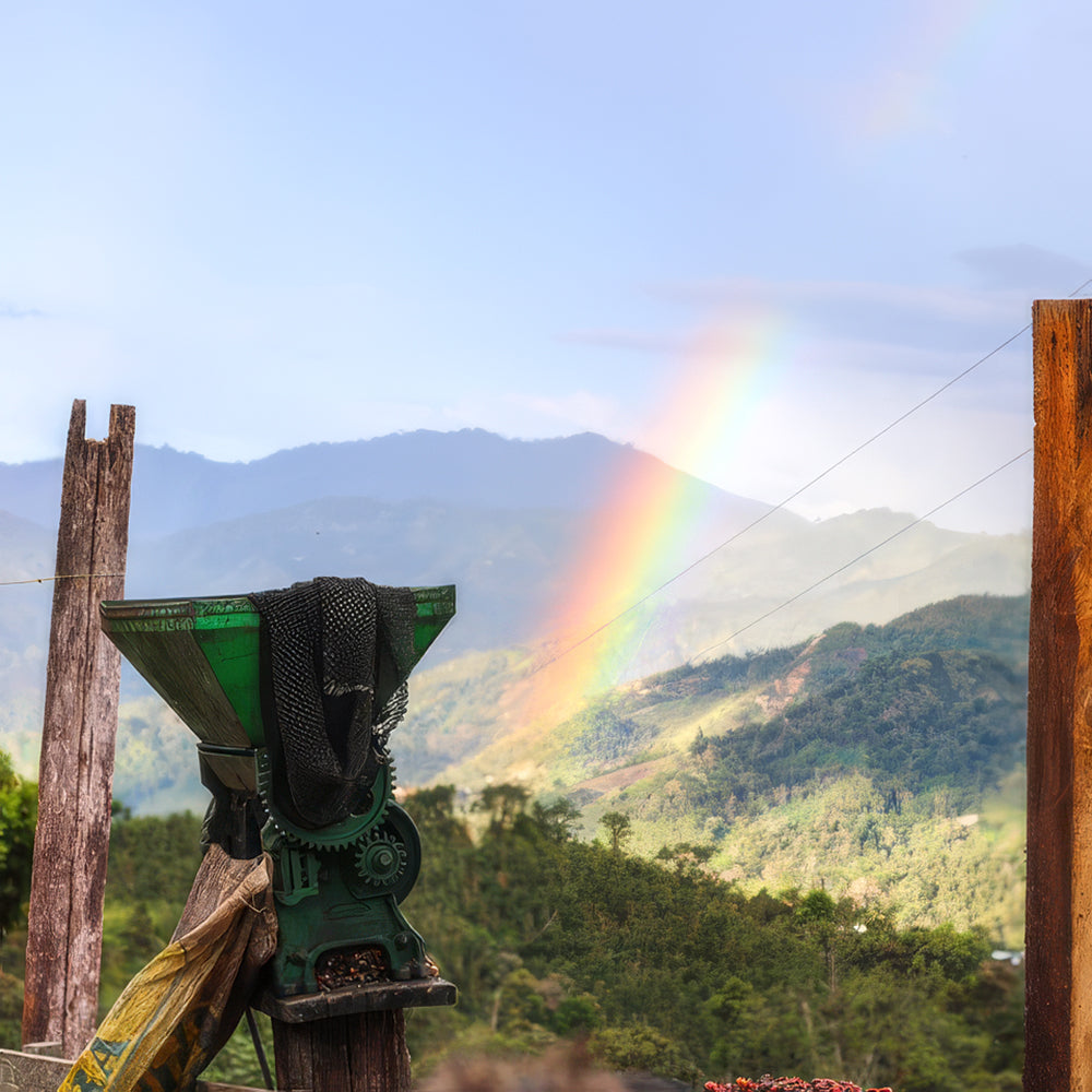 Roaster's Choice Coffee Subscription